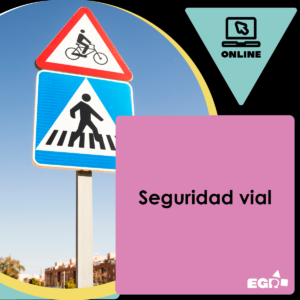 Seguridad vial
